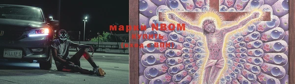 молекула духа Арсеньев