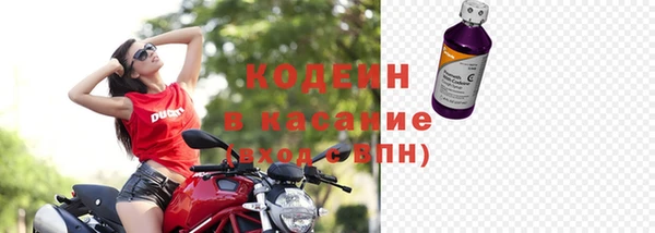 молекула духа Арсеньев