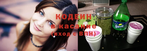 молекула духа Арсеньев