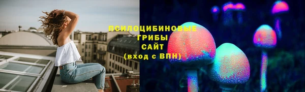 молекула духа Арсеньев