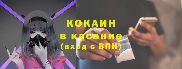 молекула духа Арсеньев