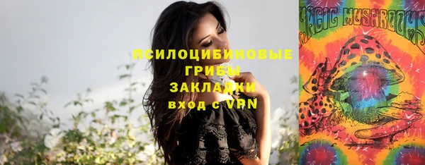 молекула духа Арсеньев