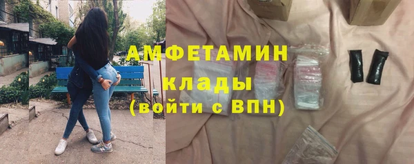 молекула духа Арсеньев