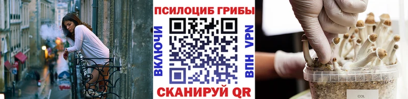 Галлюциногенные грибы Cubensis  Лесозаводск 
